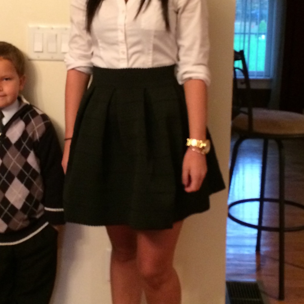 Express skirt